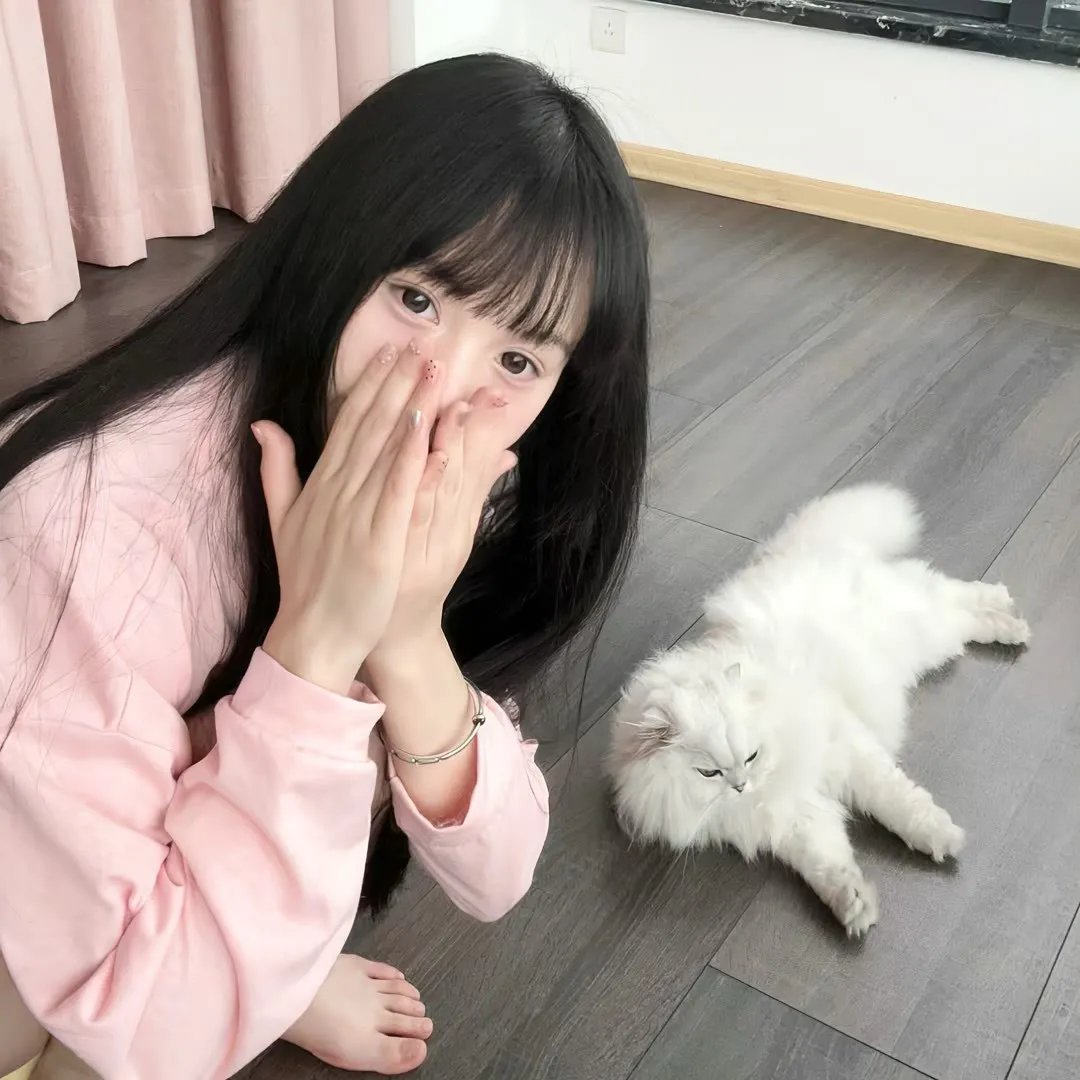 提姆的维美尔